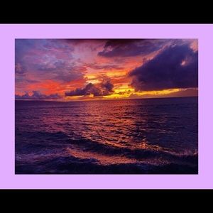 Meet your Posher, Kylie